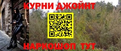 сатива Балаково