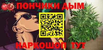 сатива Балаково