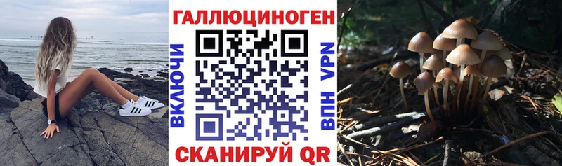 Псилоцибиновые грибы мицелий Миасс