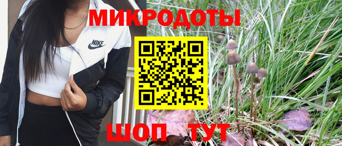 Псилоцибиновые грибы мицелий  Миасс 