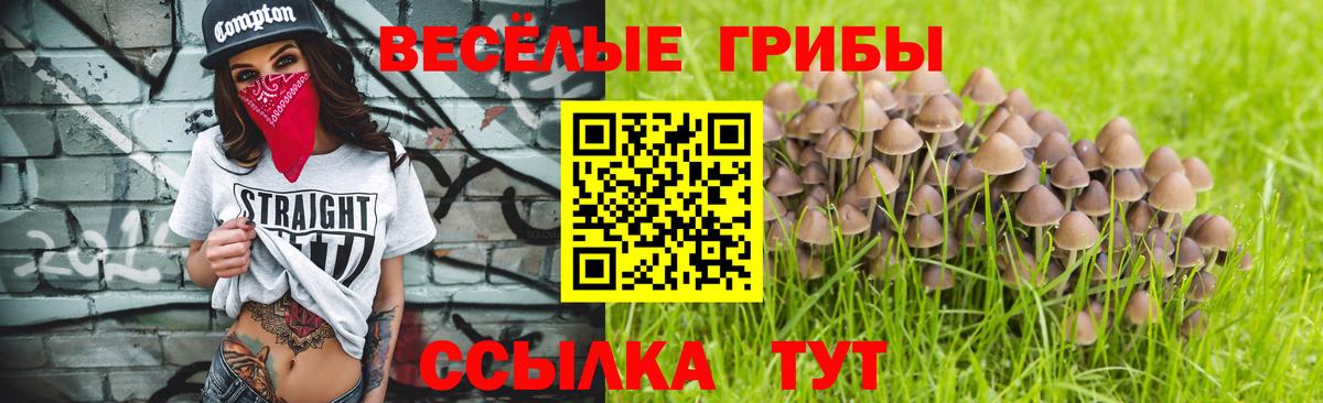Миасс  Псилоцибиновые грибы ЛСД  Вход с VPN 