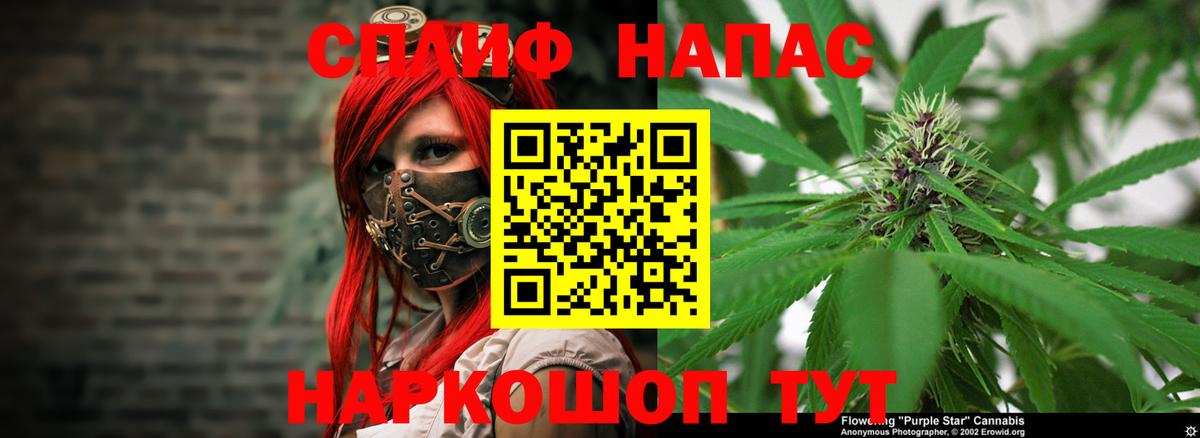 Конопля планчик Миасс